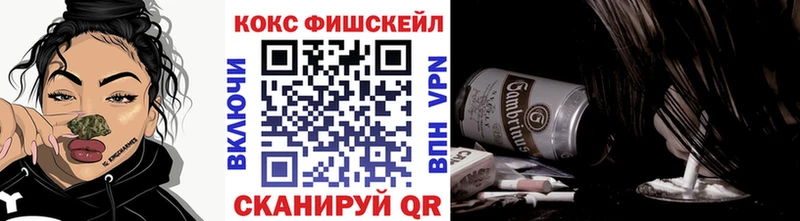 Кокаин Эквадор  Велиж 