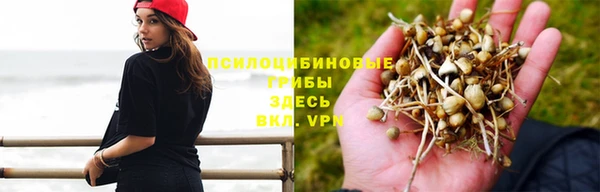 бошки Арсеньев