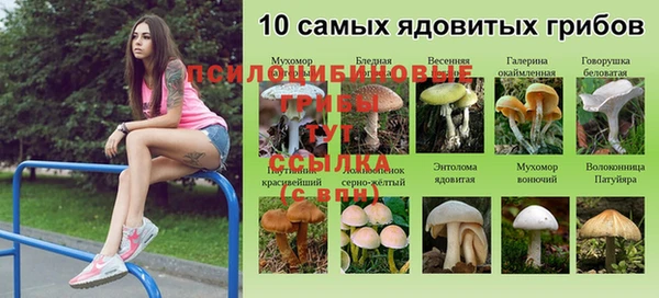 бошки Арсеньев