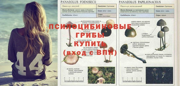 ешки Армянск