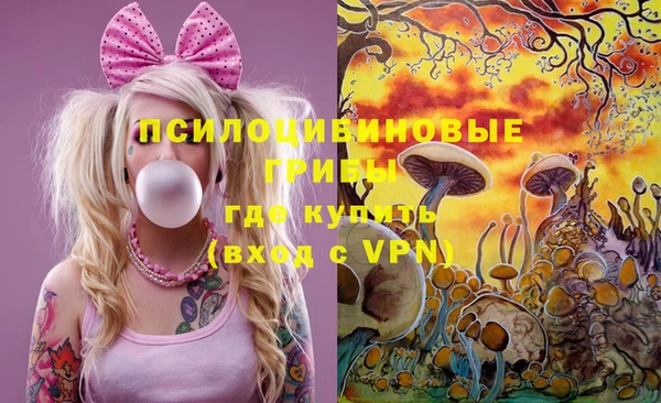бошки Арсеньев
