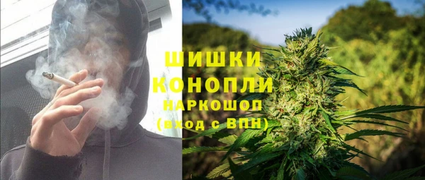 гашик Аркадак